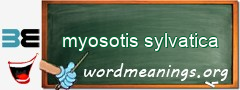 WordMeaning blackboard for myosotis sylvatica